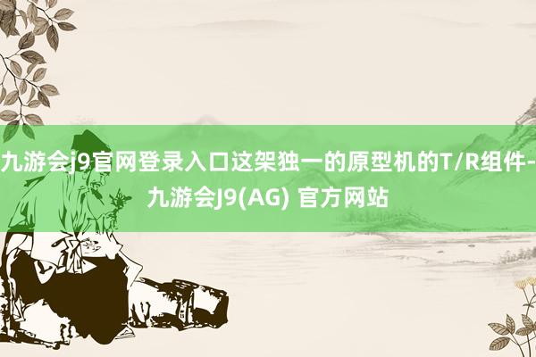 九游会j9官网登录入口这架独一的原型机的T/R组件-九游会J9(AG) 官方网站