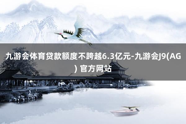 九游会体育贷款额度不跨越6.3亿元-九游会J9(AG) 官方网站